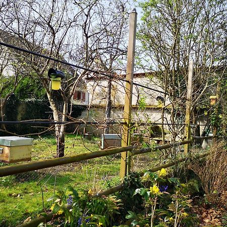 Villa Le Cloky Thomery Bagian luar foto